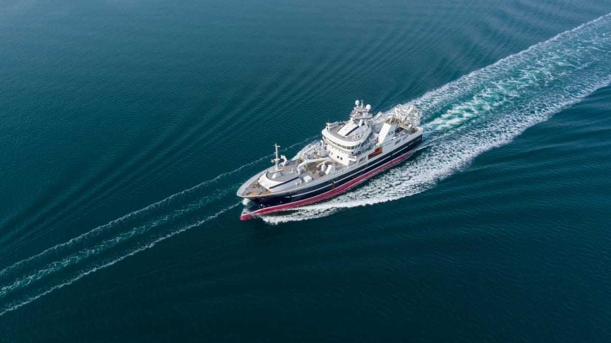 Hibrit Purse Seiner / Trawler